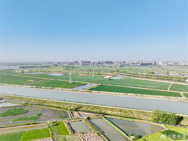 【圖說淮南】——晨風(fēng)