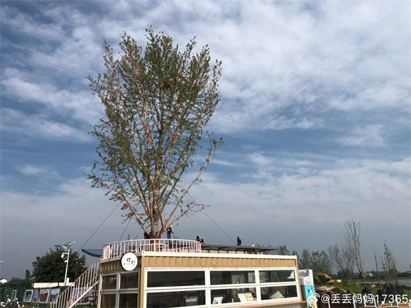 【圖說淮南】——微風拂過