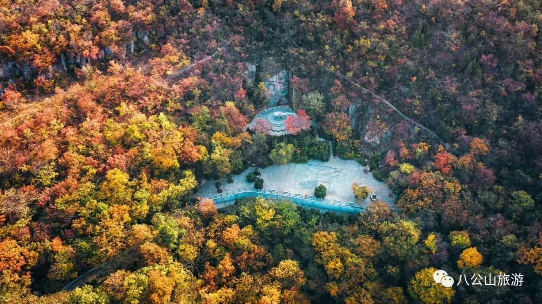 八公山最美秋色正當時